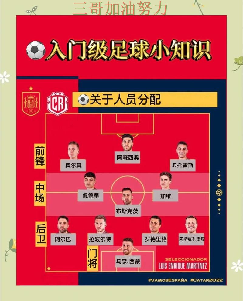 世界杯投注使用指南总结：是否安全关键点解析（World Cup 2026）